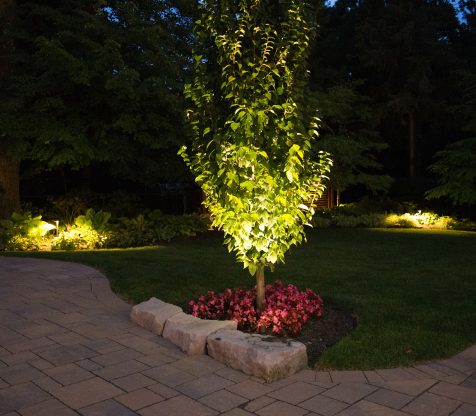 Landscape Lighting